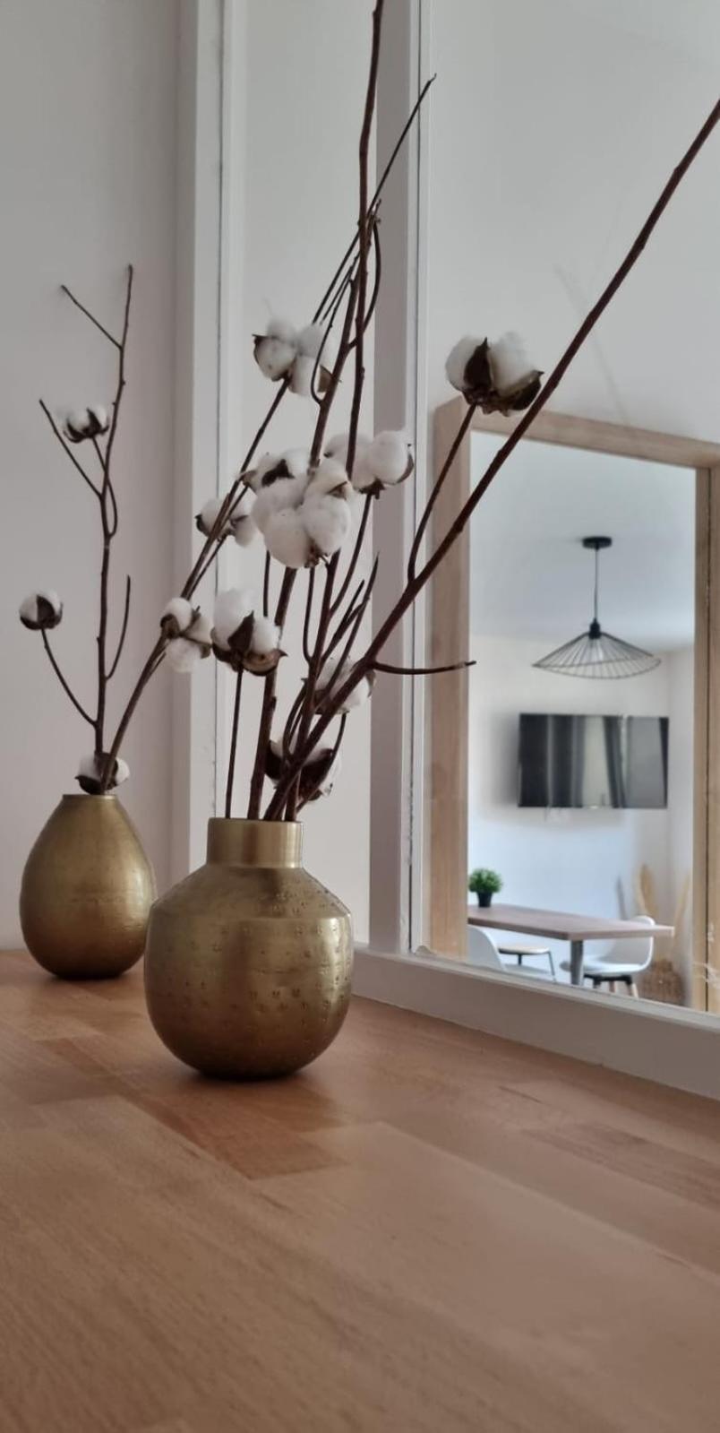 Appartement Verrieres 1 Issoire